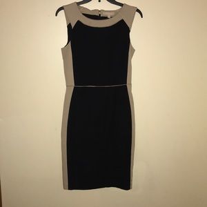 Banana Republic Shealth Dress